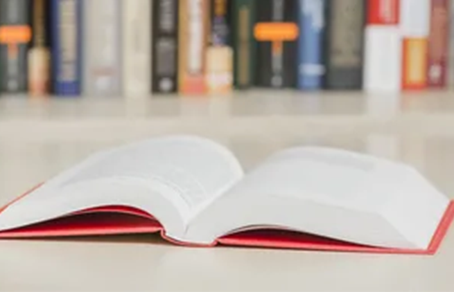 professional ebook writing services